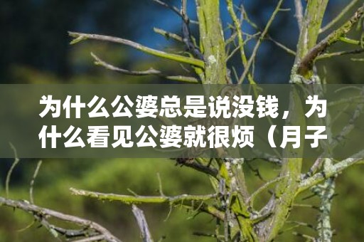 为什么公婆总是说没钱，为什么看见公婆就很烦（月子里很烦婆婆怎么办）