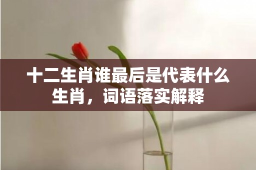 十二生肖谁最后是代表什么生肖，词语落实解释