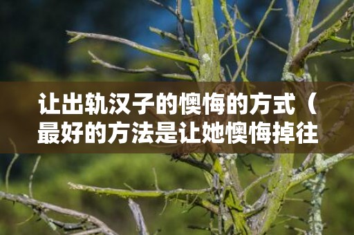 让出轨汉子的懊悔的方式（最好的方法是让她懊悔掉往你）
