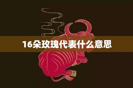 16朵玫瑰代表什么意思