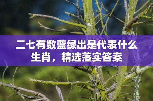 二七有数蓝绿出是代表什么生肖，精选落实答案