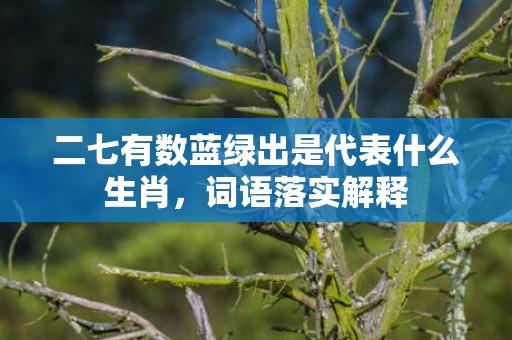 二七有数蓝绿出是代表什么生肖，词语落实解释