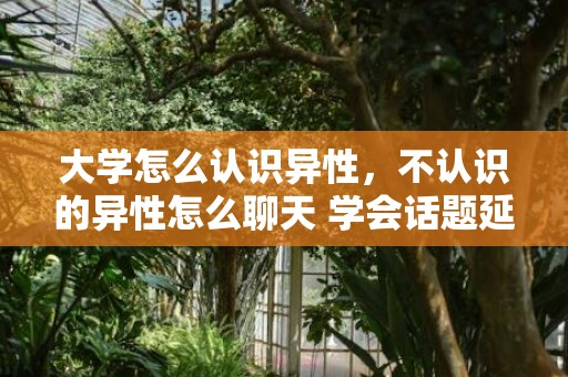 大学怎么认识异性，不认识的异性怎么聊天 学会话题延伸 异性聊天会聊出感情
