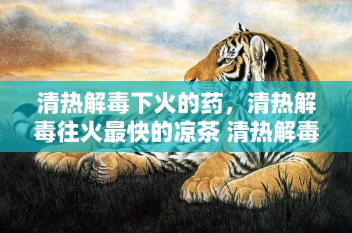 清热解毒下火的药，清热解毒往火最快的凉茶 清热解毒往火最快的凉茶