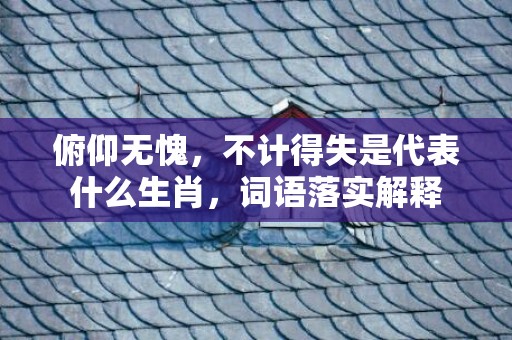 俯仰无愧，不计得失是代表什么生肖，词语落实解释