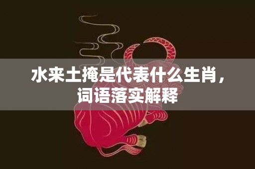 水来土掩是代表什么生肖，词语落实解释