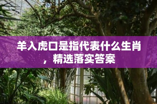 羊入虎口是指代表什么生肖，精选落实答案