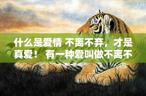 什么是爱情 不离不弃，才是真爱！ 有一种爱叫做不离不弃