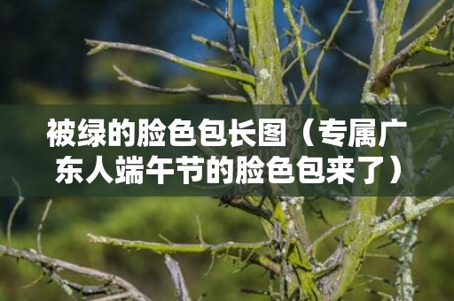 被绿的脸色包长图（专属广东人端午节的脸色包来了）