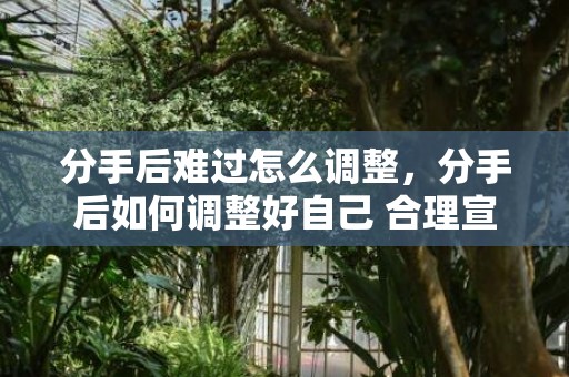 分手后难过怎么调整，分手后如何调整好自己 合理宣泄是必须的 合理的宣泄是指