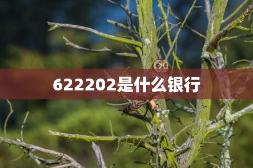 622202是什么银行