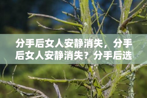 分手后女人安静消失，分手后女人安静消失？分手后选择消失的一方