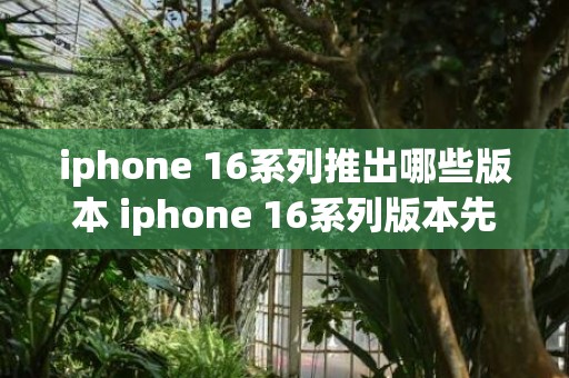 iphone 16系列推出哪些版本 iphone 16系列版本先容