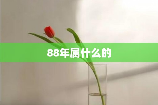 88年属什么的