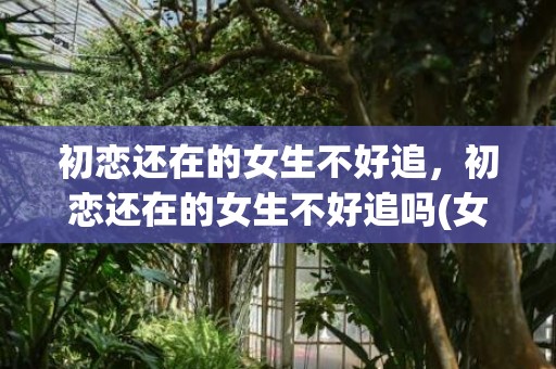 初恋还在的女生不好追，初恋还在的女生不好追吗(女孩对初恋会轻易放弃吗)