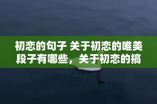 初恋的句子 关于初恋的唯美段子有哪些，关于初恋的搞笑段子
