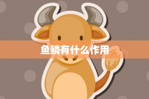 鱼鳞有什么作用