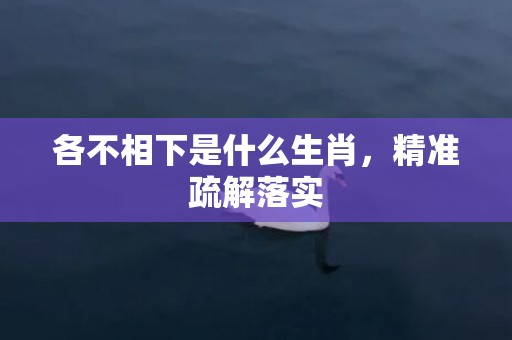 各不相下是什么生肖，精准疏解落实