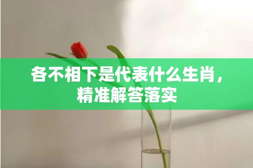 各不相下是代表什么生肖，精准解答落实