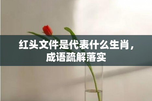 红头文件是代表什么生肖，成语疏解落实
