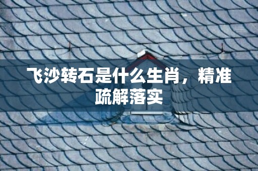 飞沙转石是什么生肖，精准疏解落实