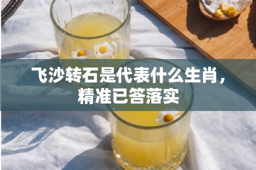 飞沙转石是代表什么生肖，精准已答落实