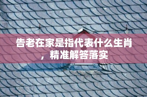 告老在家是指代表什么生肖，精准解答落实