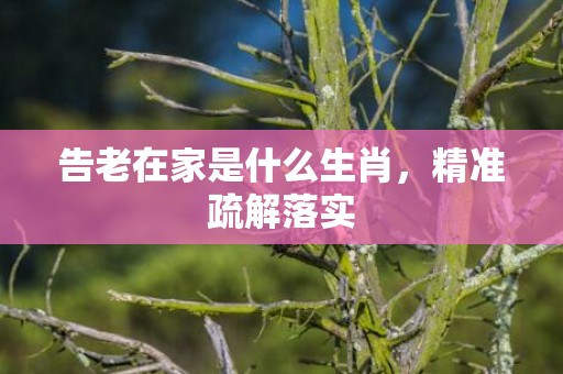 告老在家是什么生肖，精准疏解落实