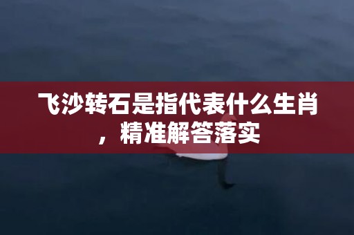 飞沙转石是指代表什么生肖，精准解答落实