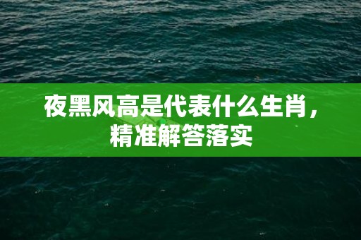 夜黑风高是代表什么生肖，精准解答落实