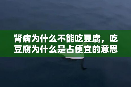 肾病为什么不能吃豆腐，吃豆腐为什么是占便宜的意思 这种说法什么时候开始的？吃豆腐和占便宜意思一样吗