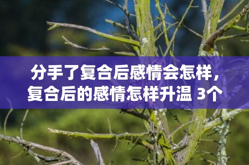分手了复合后感情会怎样，复合后的感情怎样升温 3个小技巧男女须知(复合以后怎么提升感情)