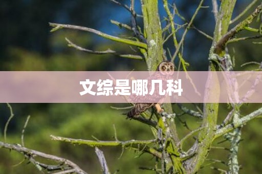 文综是哪几科