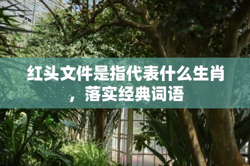 红头文件是指代表什么生肖，落实经典词语
