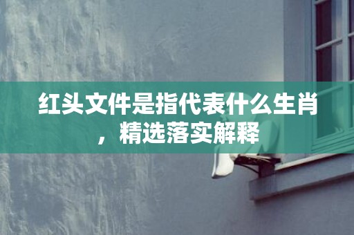 红头文件是指代表什么生肖，精选落实解释