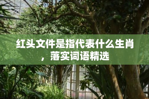红头文件是指代表什么生肖，落实词语精选