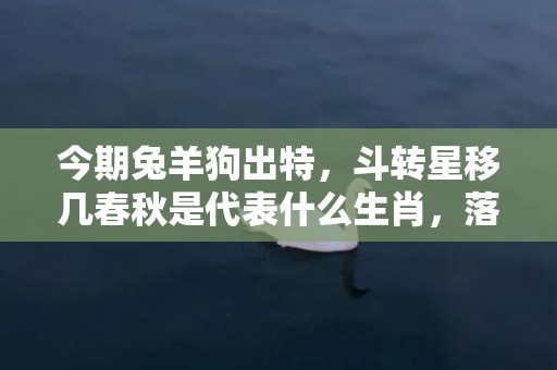 今期兔羊狗出特，斗转星移几春秋是代表什么生肖，落实精选答案