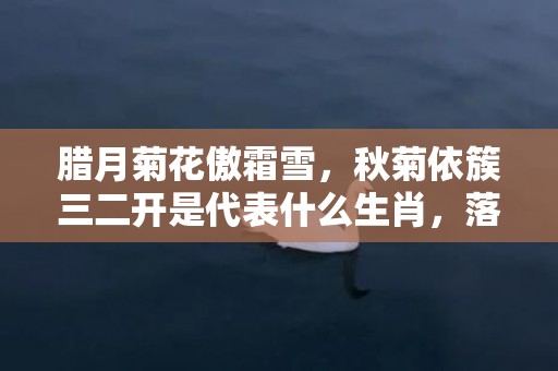 腊月菊花傲霜雪，秋菊依簇三二开是代表什么生肖，落实词语解释