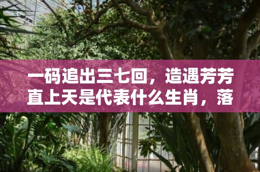 一码追出三七回，造遇芳芳直上天是代表什么生肖，落实词语解释