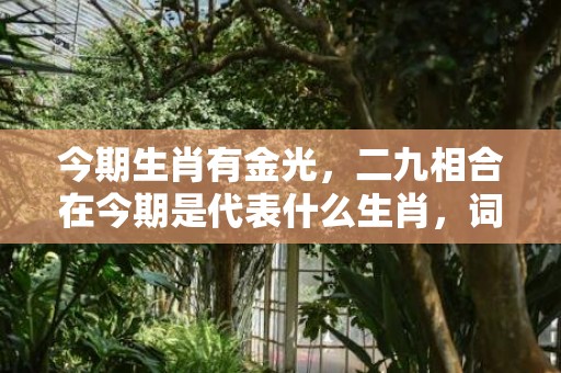 今期生肖有金光，二九相合在今期是代表什么生肖，词语落实解释