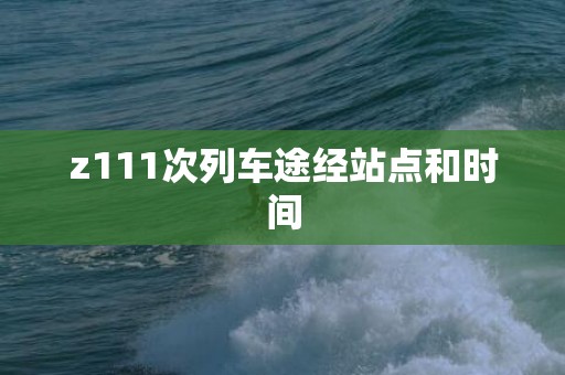 z111次列车途经站点和时间