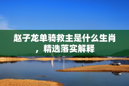 赵子龙单骑救主是什么生肖，精选落实解释