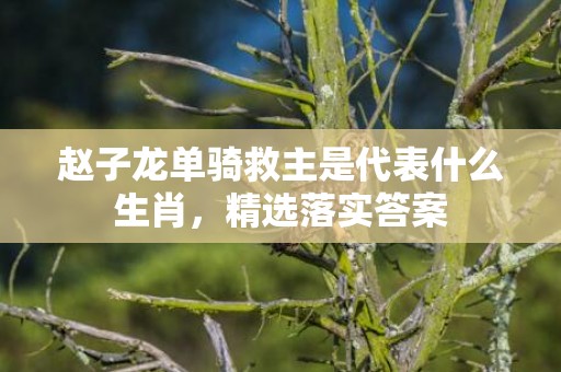 赵子龙单骑救主是代表什么生肖，精选落实答案