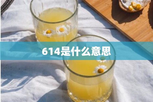 614是什么意思