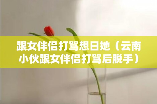 跟女伴侣打骂想日她（云南小伙跟女伴侣打骂后脱手）