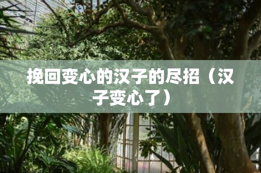 挽回变心的汉子的尽招（汉子变心了）
