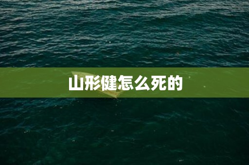 山形健怎么死的