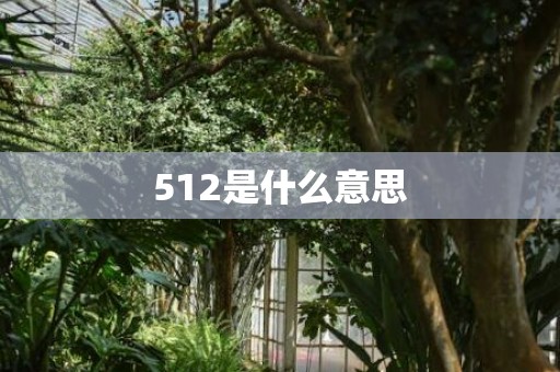 512是什么意思