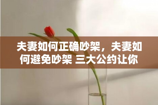 夫妻如何正确吵架，夫妻如何避免吵架 三大公约让你越吵越爱 夫妻吵架约法三章必要条款