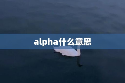 alpha什么意思